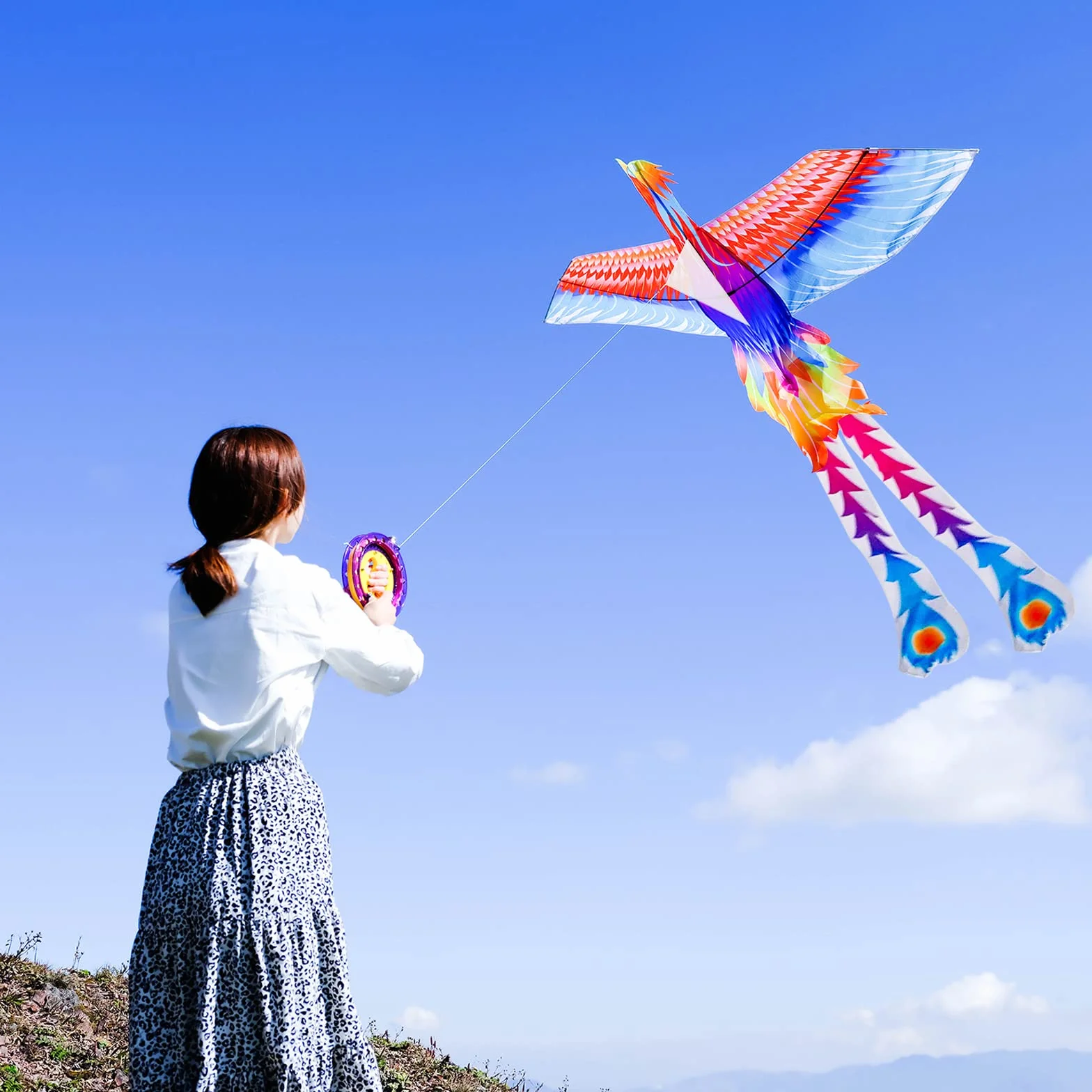 Mint's Colorful Life Cerf-Volant Arc-en-Ciel Phénix Facile à Voler Enfants Adultes