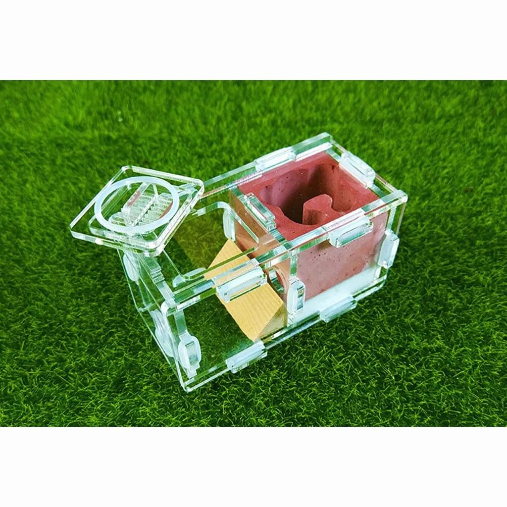 Ant Farm Mini Formicarium Nid de Fourmis en Plâtre Acrylique pour Jeune Reine et Colonie
