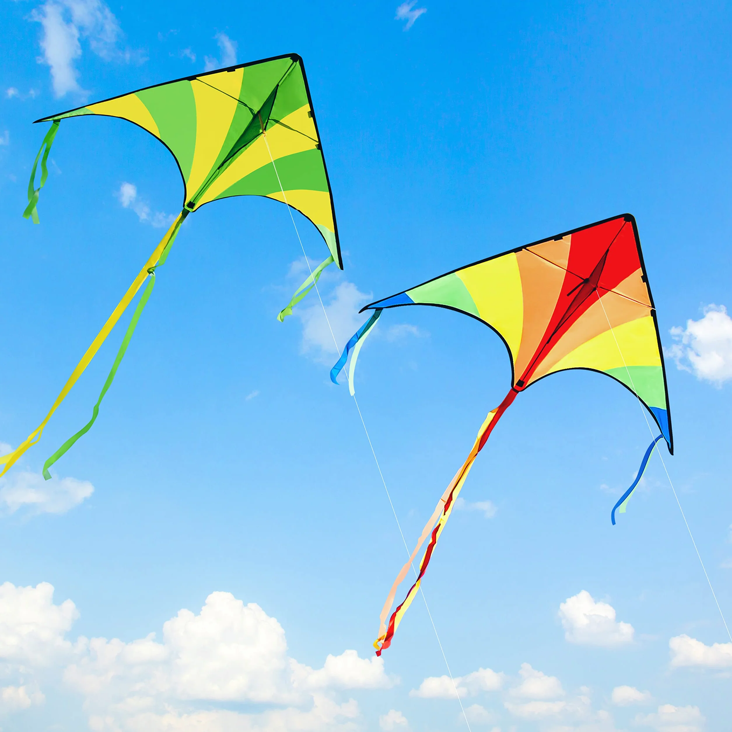 JOYIN Lot de 2 grands cerfs-volants Delta Vert multicolore faciles à voler avec ficelle 80 m pour enfants adultes plage plein air