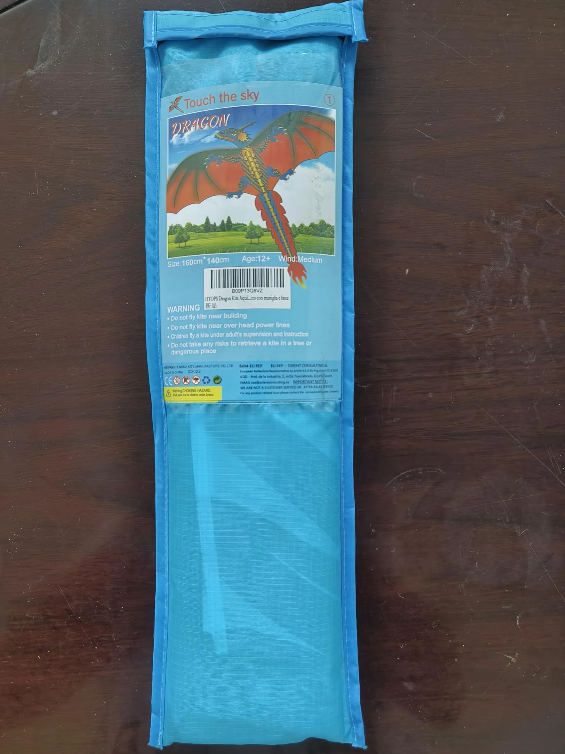 Cerf-Volant Dragon pour Enfants et Adultes, Facile à Voler, Tissus Exquis, Jeux de Plein Air