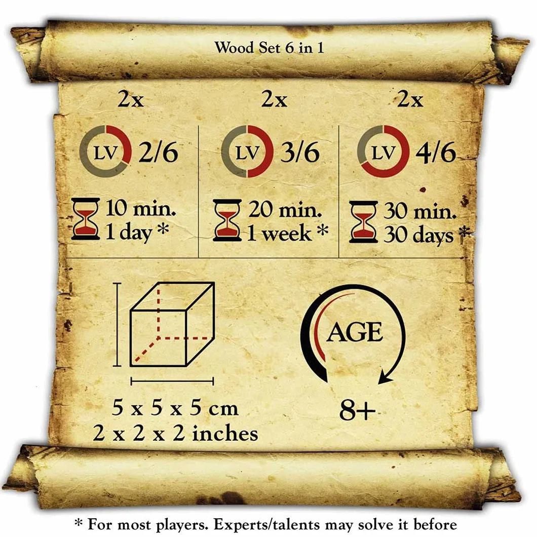 Logica Jeux Art. Set 6 en 1 Série Leonardo Casse-têtes Bois Métal Difficultés Mixtes