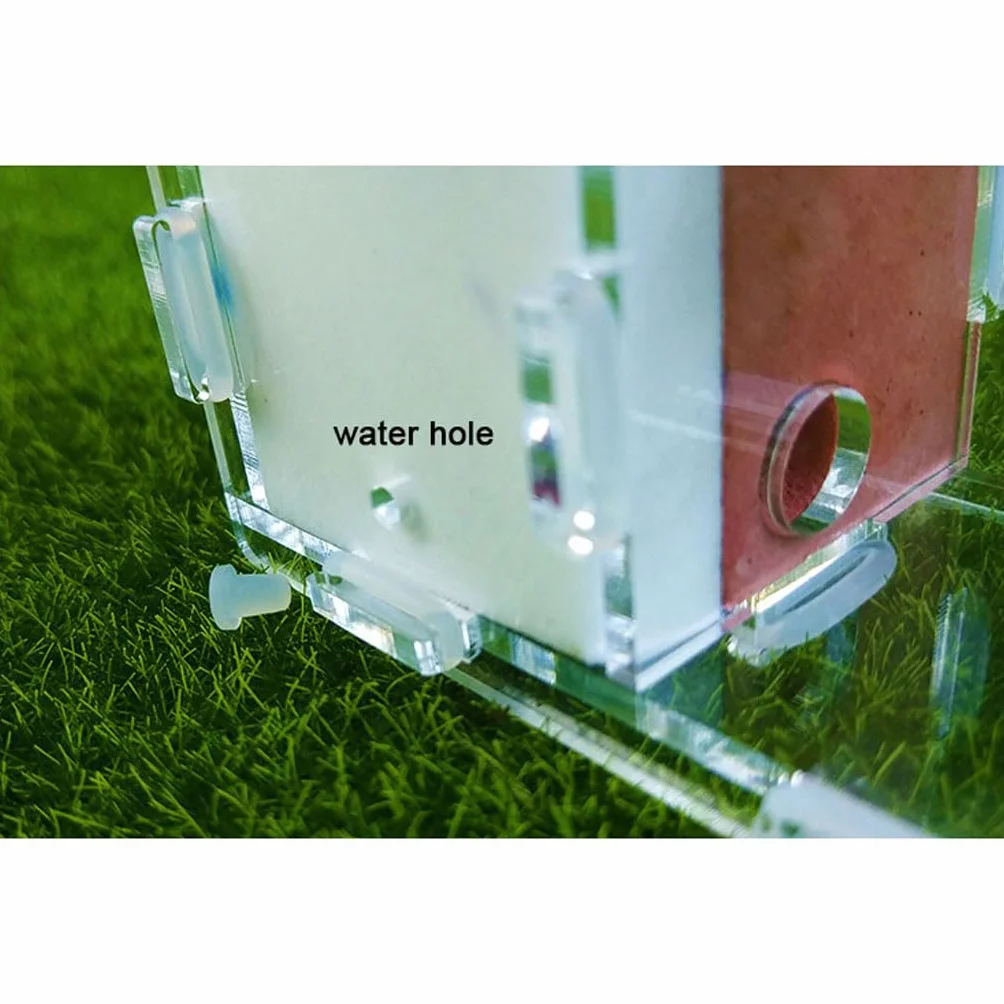 Ant Farm Mini Formicarium Nid de Fourmis en Plâtre Acrylique pour Jeune Reine et Colonie