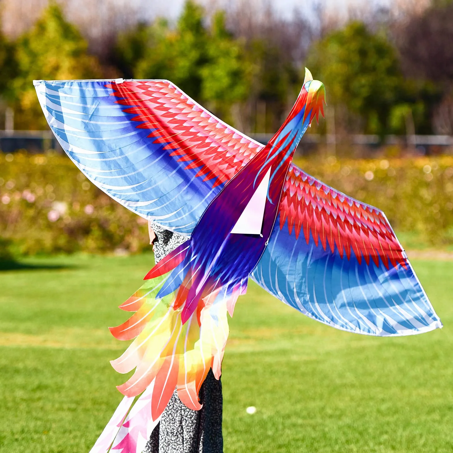 Mint's Colorful Life Cerf-Volant Arc-en-Ciel Phénix Facile à Voler Enfants Adultes