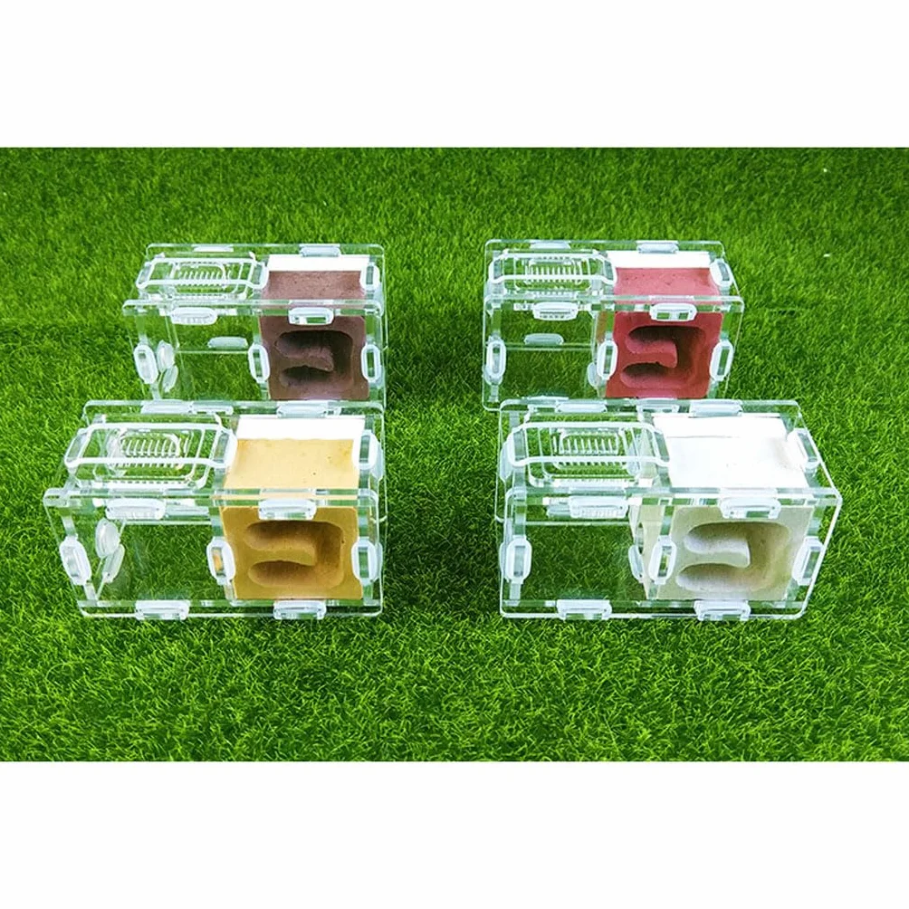 Ant Farm Mini Formicarium Nid de Fourmis en Plâtre Acrylique pour Jeune Reine et Colonie