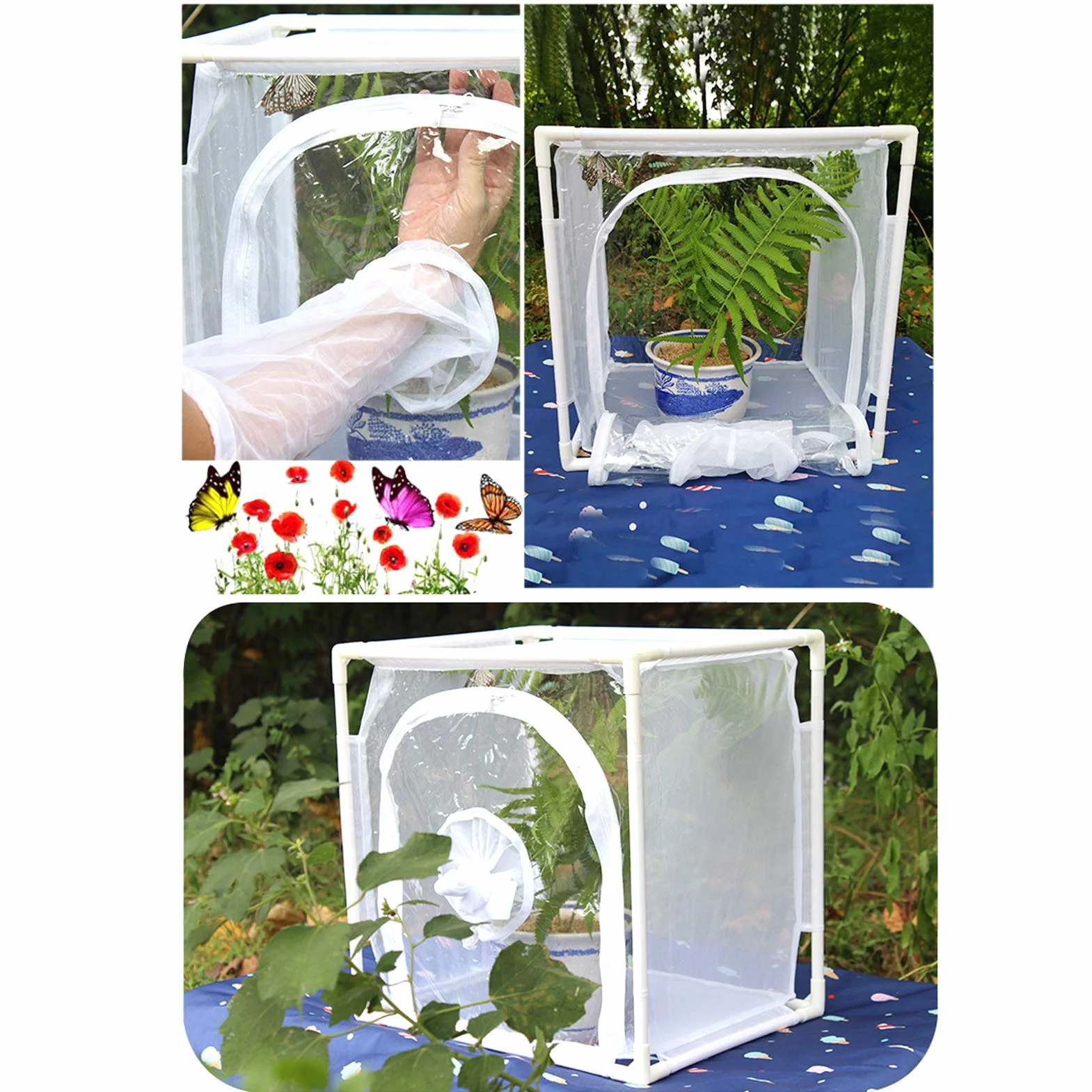 Cage à Insectes pour Papillons avec Maille Effet Serre, Enclos Ventilé Extérieur Terrarium Pop-up 40x30x40cm