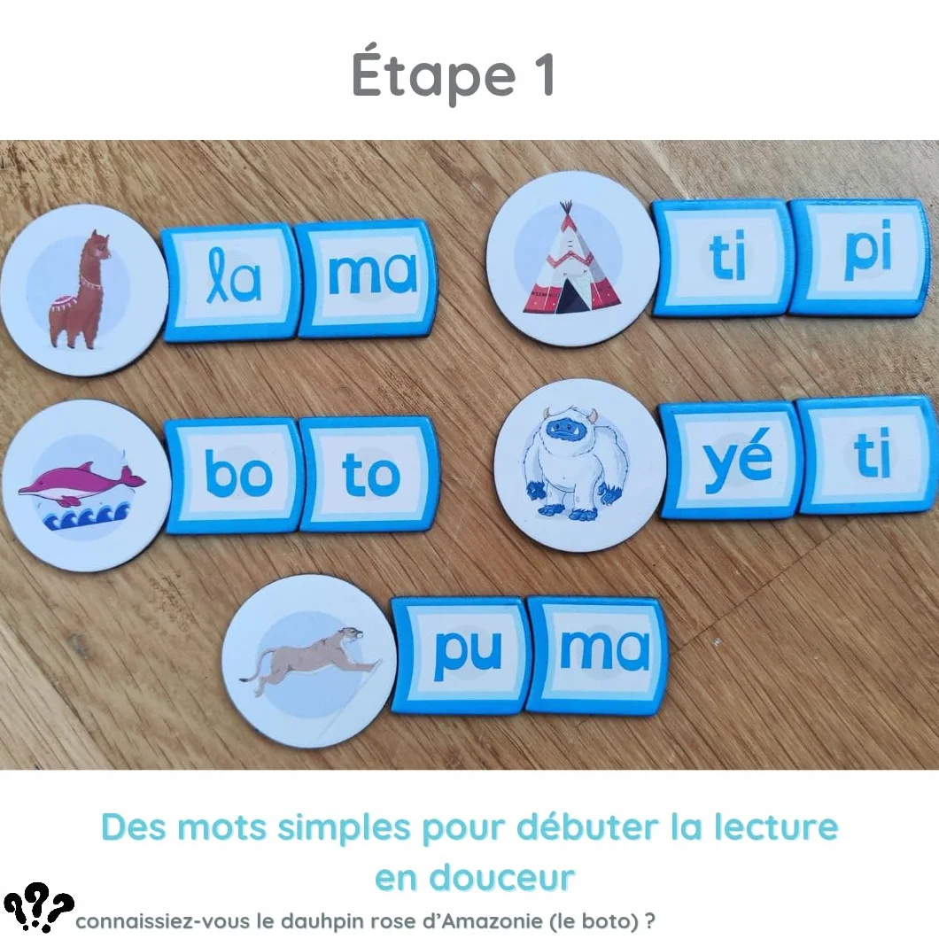 Ma Fabrique à syllabes & Mots, Jeu éducatif magnétique, Apprendre à Lire 3-8 Ans, Méthode syllabique, Phonologie PS=>CP