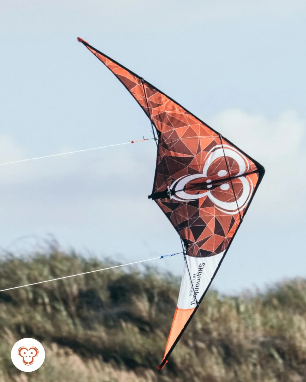 Skymonkey Fastrider Cerf Volant Adulte 2 Lignes 127cm