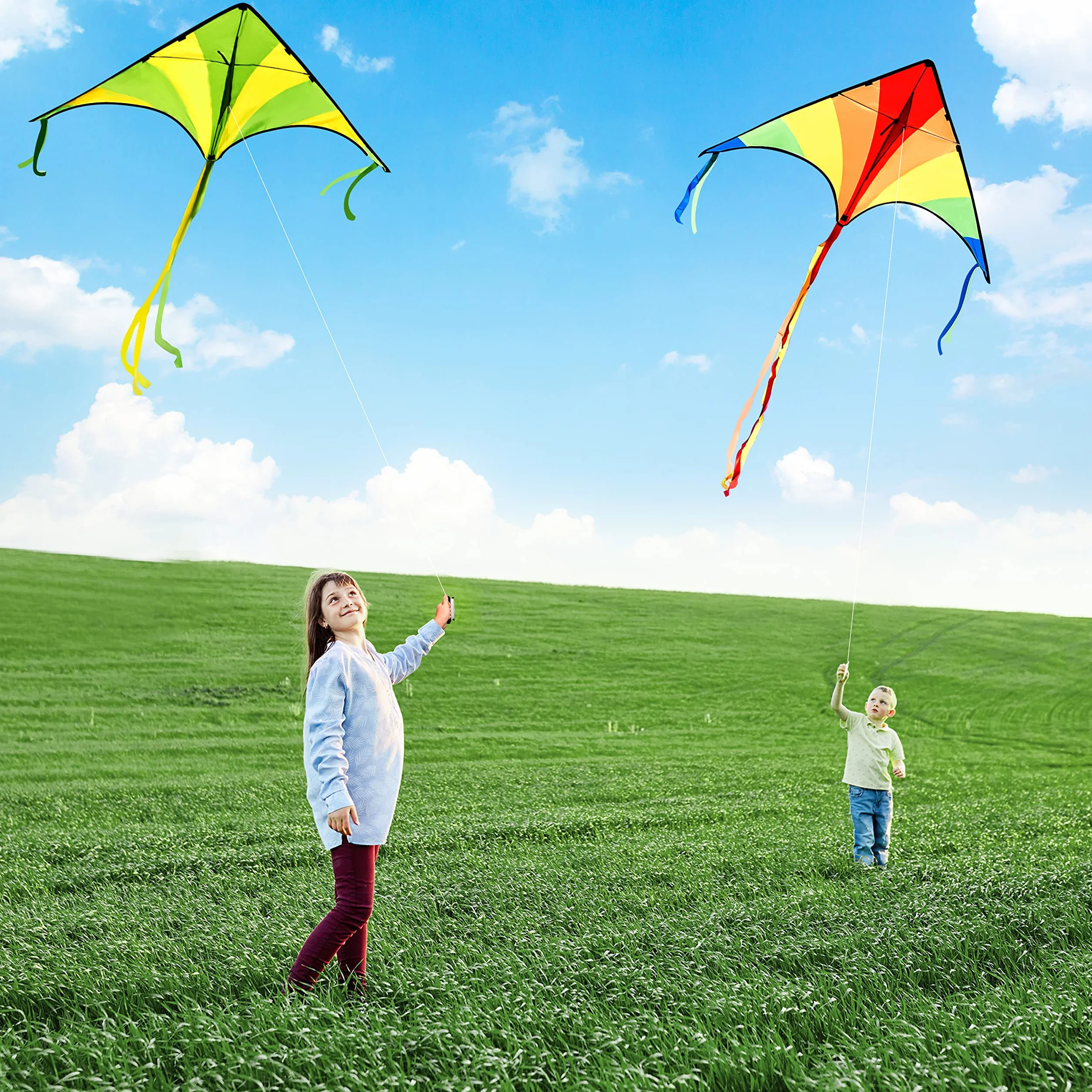 JOYIN Lot de 2 grands cerfs-volants Delta Vert multicolore faciles à voler avec ficelle 80 m pour enfants adultes plage plein air