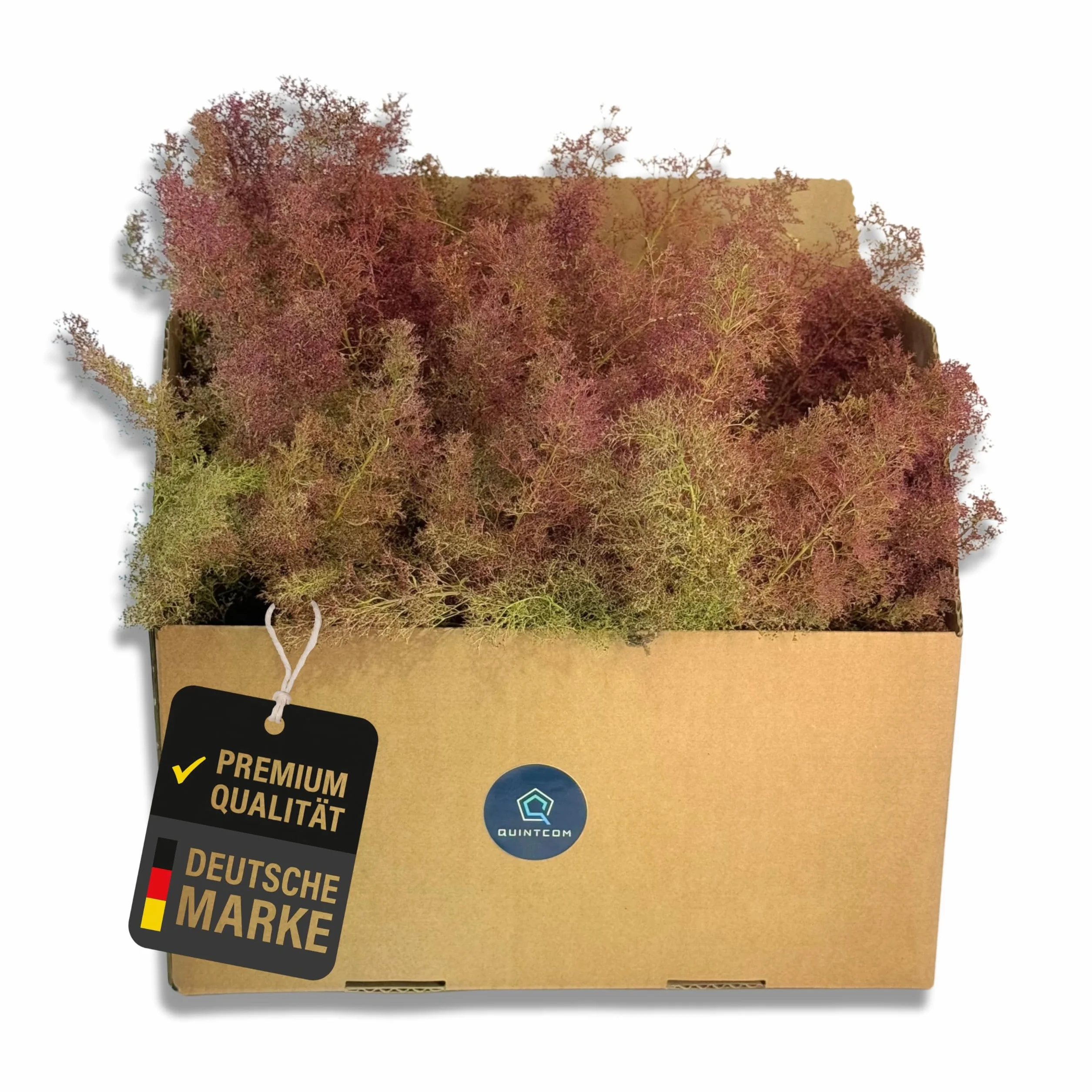 Sea Moss Modélisme Arbres 30 cm x 20 cm x 14 cm
