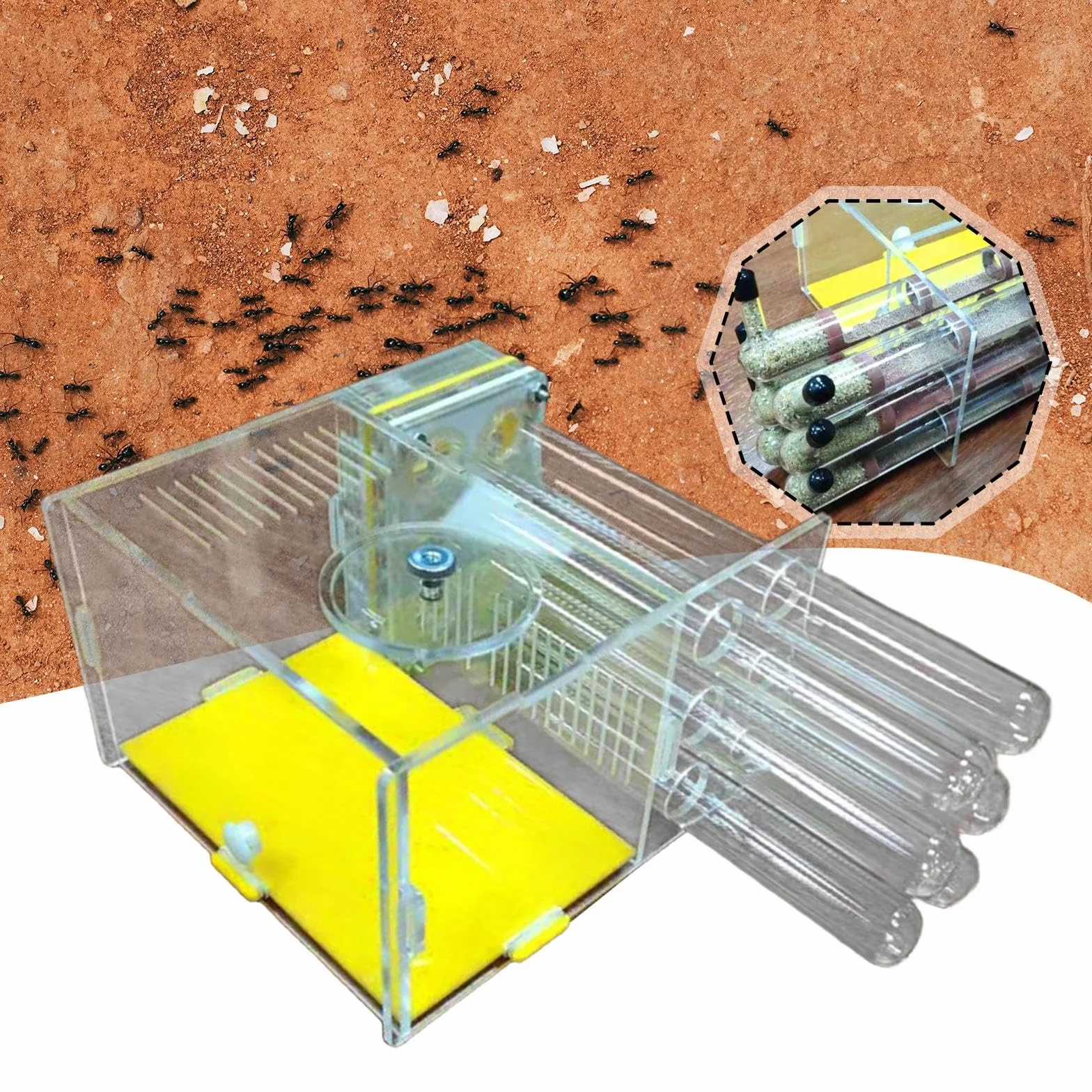 Milageto Atelier de nid de Fourmis DIY Compact Transparent Facile à Assembler Ferme château de Fourmis Habitat 1.8 Cm