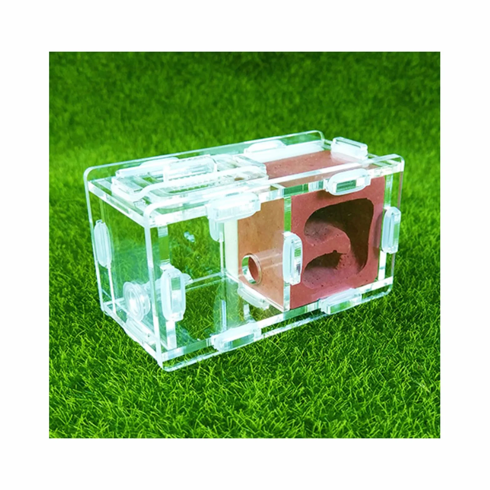 Ant Farm Mini Formicarium Nid de Fourmis en Plâtre Acrylique pour Jeune Reine et Colonie